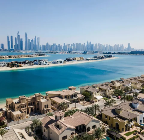 Untitled design - 2025-05-07T112727.612