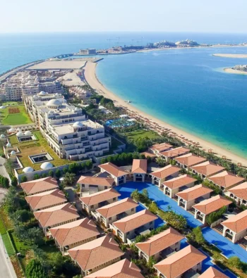 Untitled design - 2025-05-02T105737.067