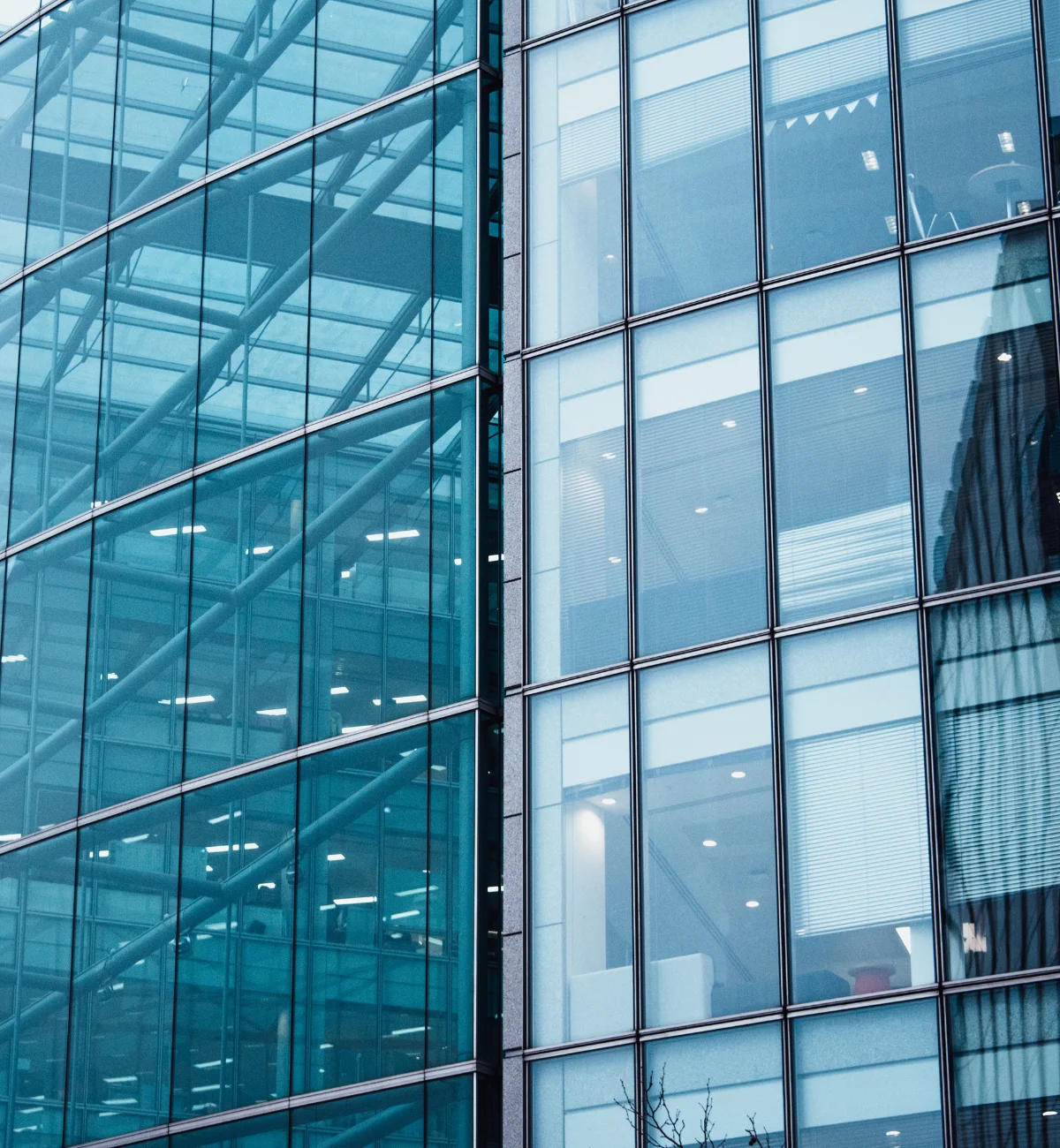 Untitled design - 2025-05-15T120642.820